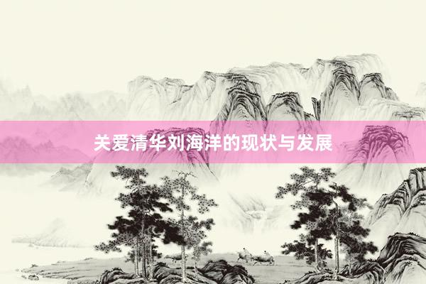 关爱清华刘海洋的现状与发展